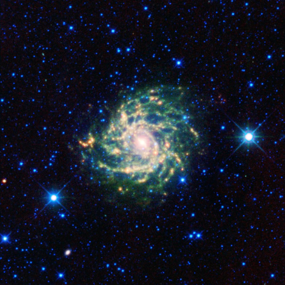 IC 342 || Hidden Galaxy || Intermediate Spiral Galaxy