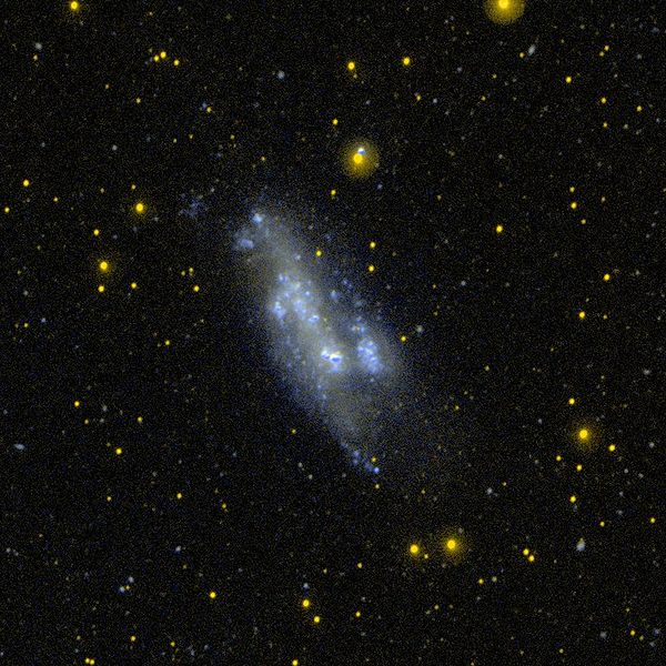 NGC 2366 || Magellanic barred irregular dwarf galaxy