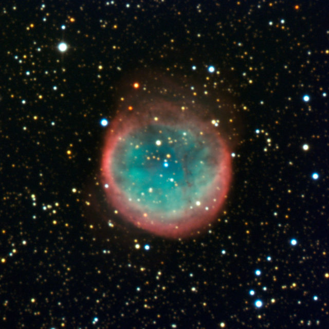 NGC 6781 || Planetary Nebula
