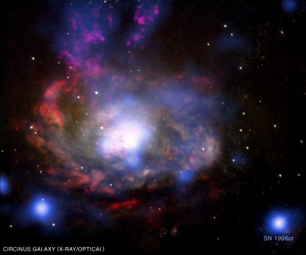 Circinus Galaxy || Seyfert Galaxy