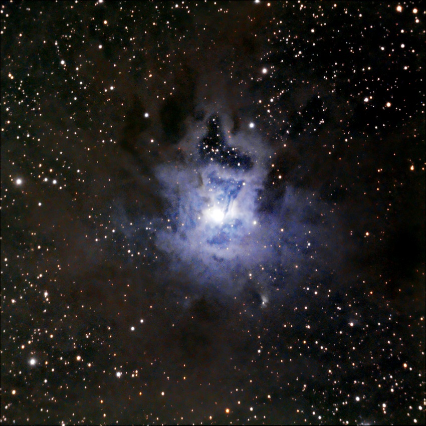 Iris Nebula or NGC 7023 || Reflection Nebula