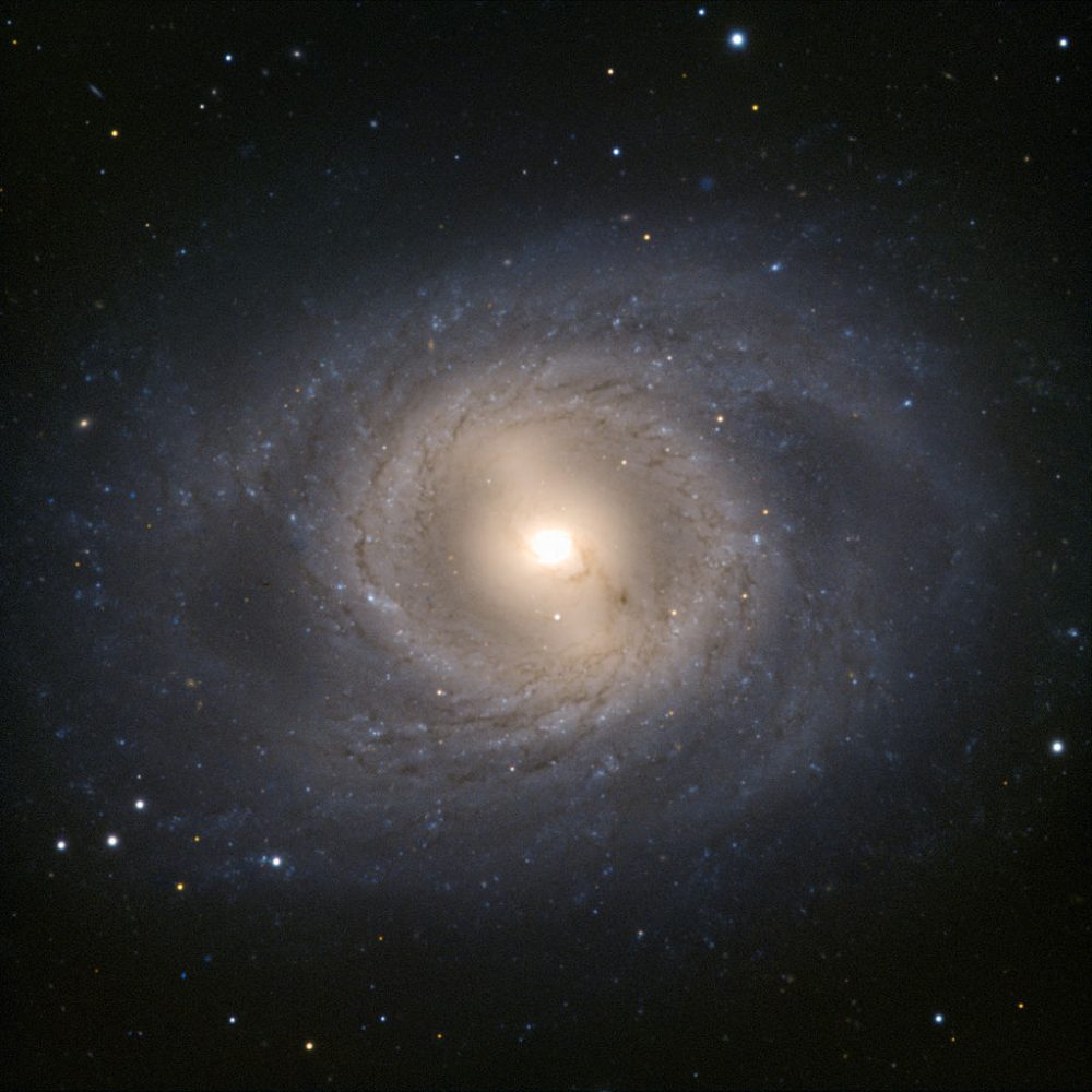 M95 or NGC 3351 || Barred Spiral Galaxy