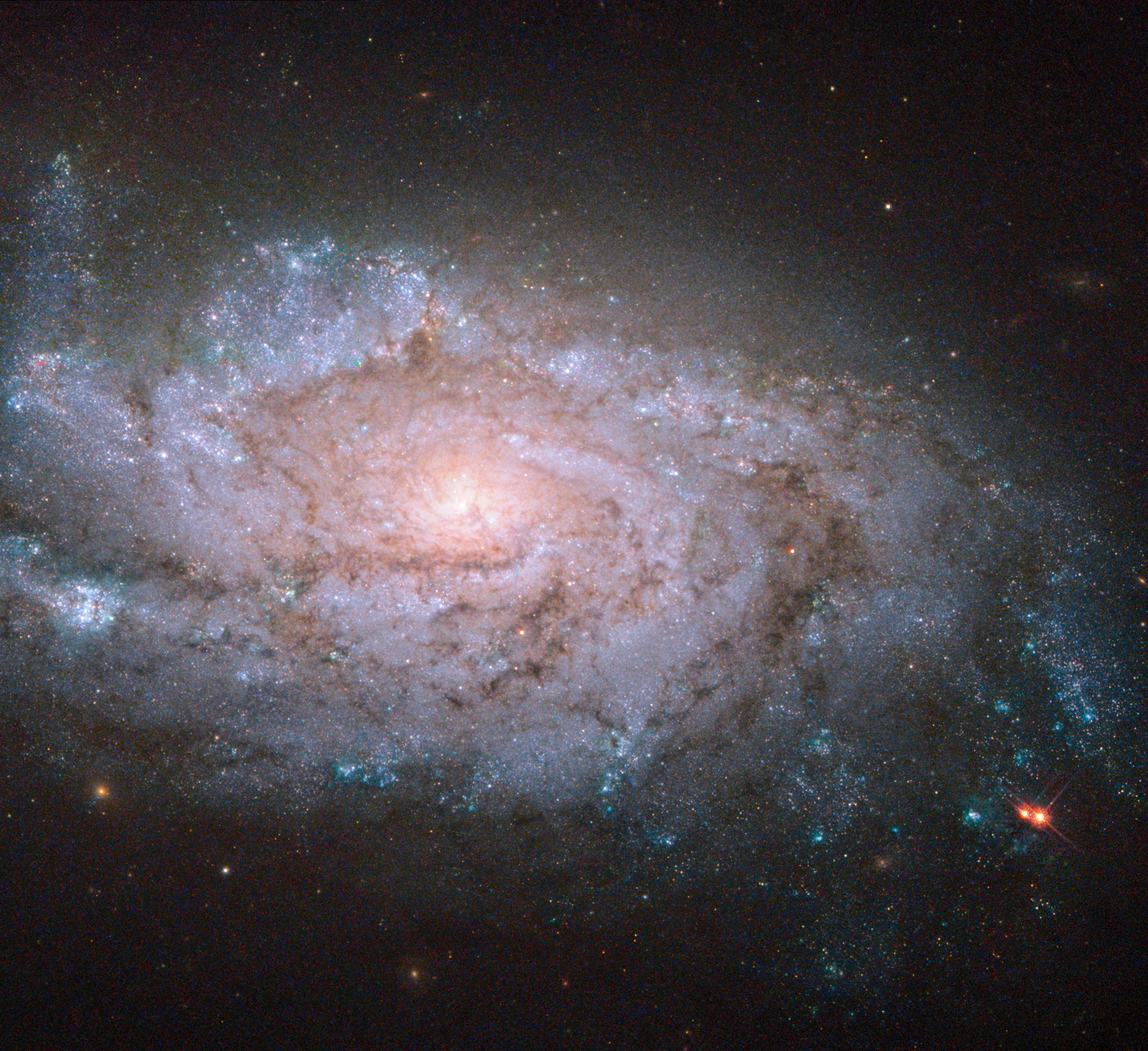 NGC 1084 || Spiral Galaxy