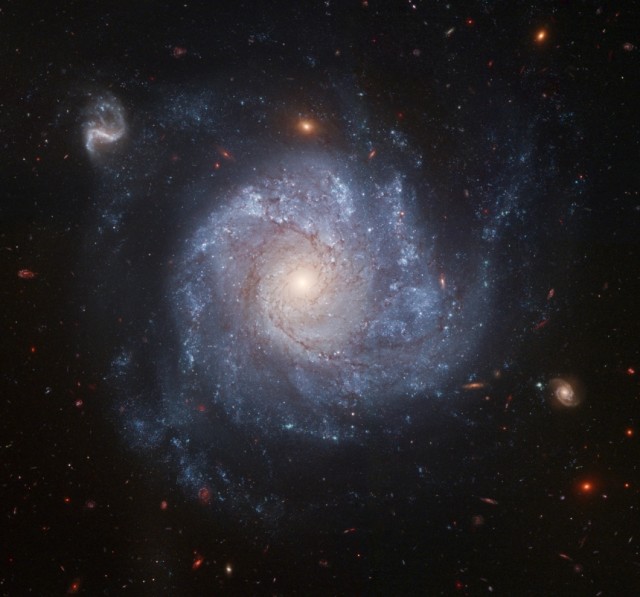 NGC 1309 || Spiral Galaxy