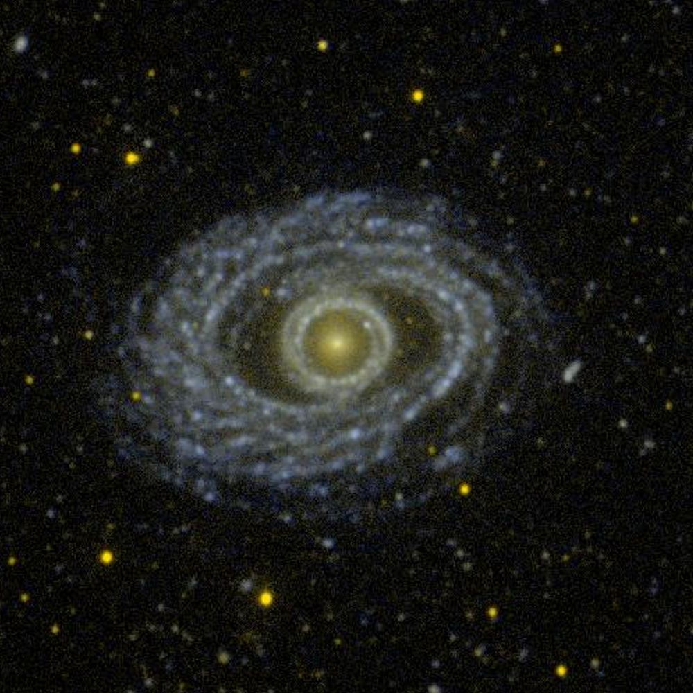 NGC 1398 || Isolated Barred Spiral Galaxy