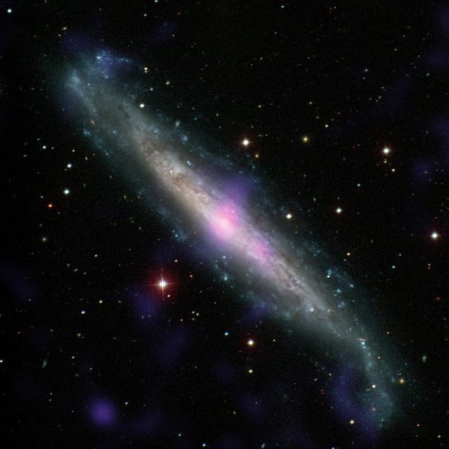 NGC 1448 || Spiral Galaxy