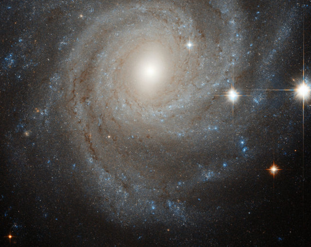 NGC 3344 || Isolated Barred Spiral Galaxy