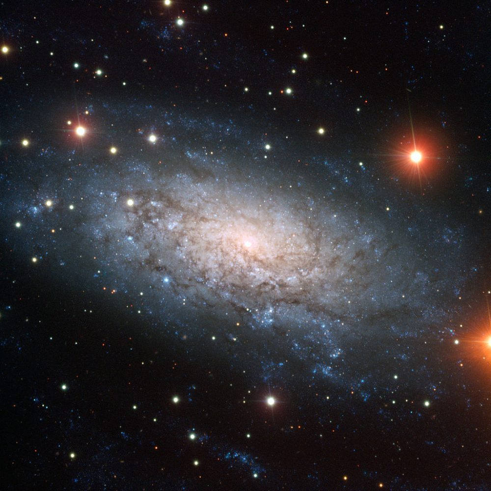 NGC-3621