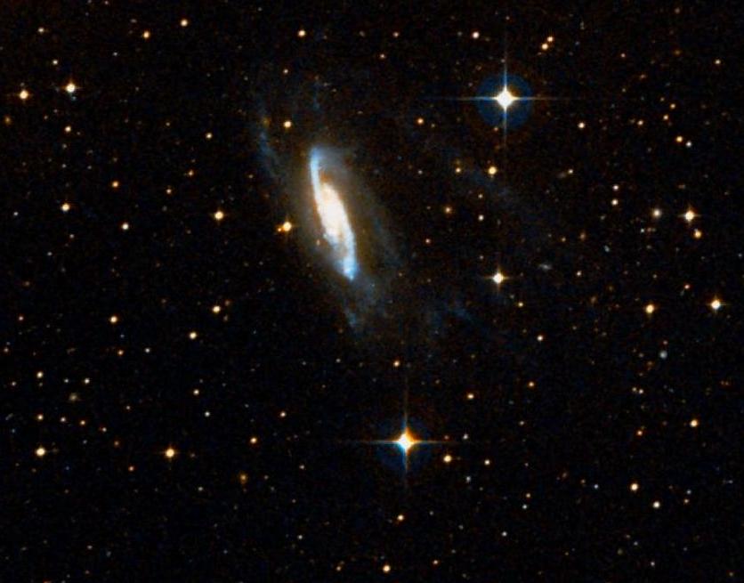 NGC 3981 || Spiral Galaxy