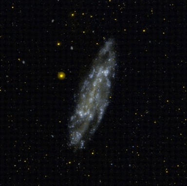 NGC 4236 || Spiral Galaxy