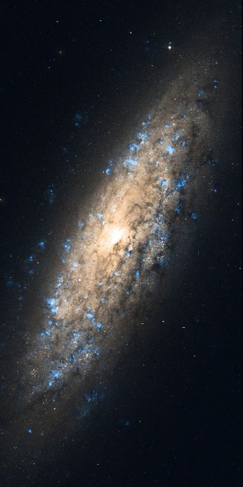 NGC 6503 || Dwarf Galaxy