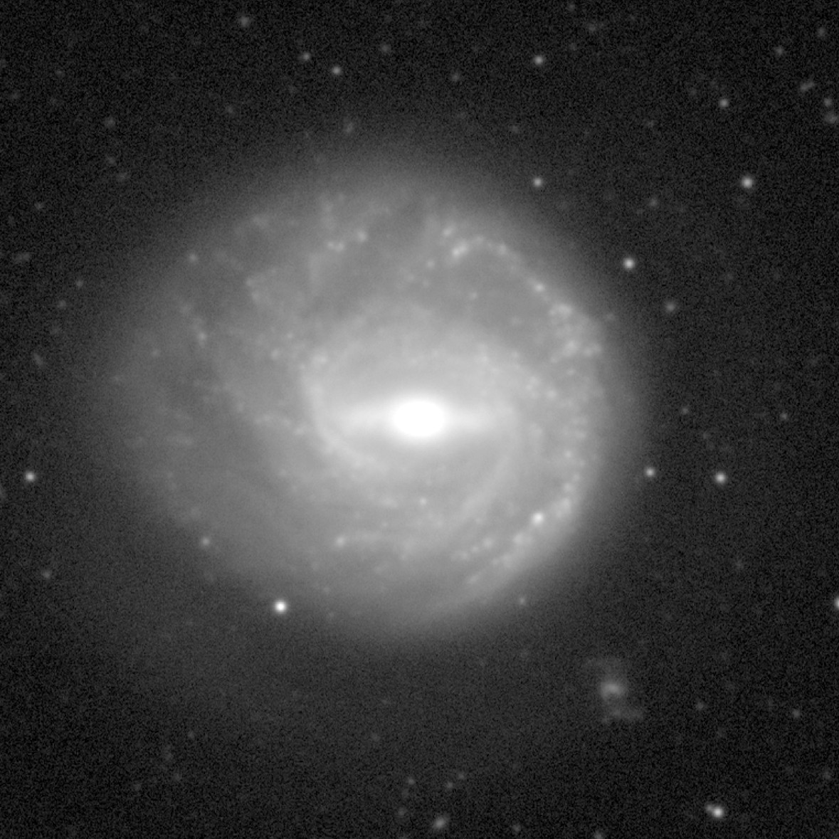 NGC 7421 || Spiral Galaxy