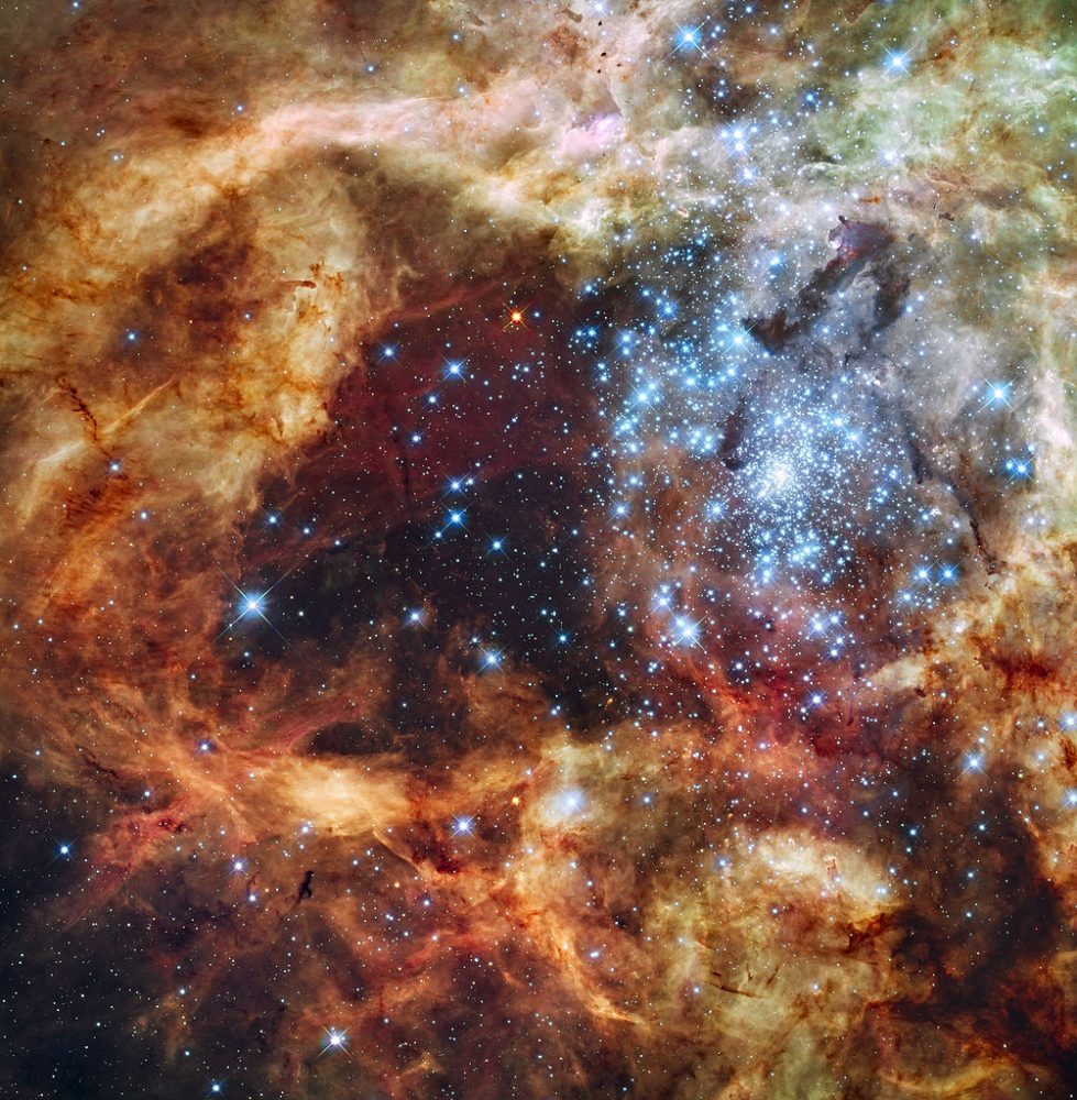 NGC 2070 || Star Cluster in Tarantula Nebula