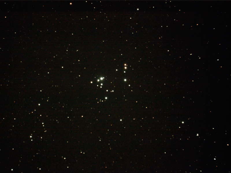 37 Cluster or NGC 2169 || Open Cluster