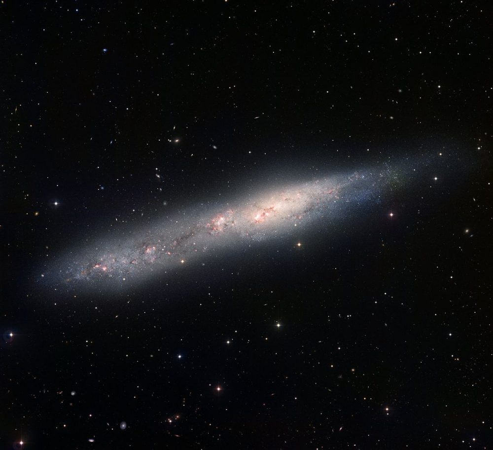 The Whale Galaxy or NGC 55 || Spiral Galaxy