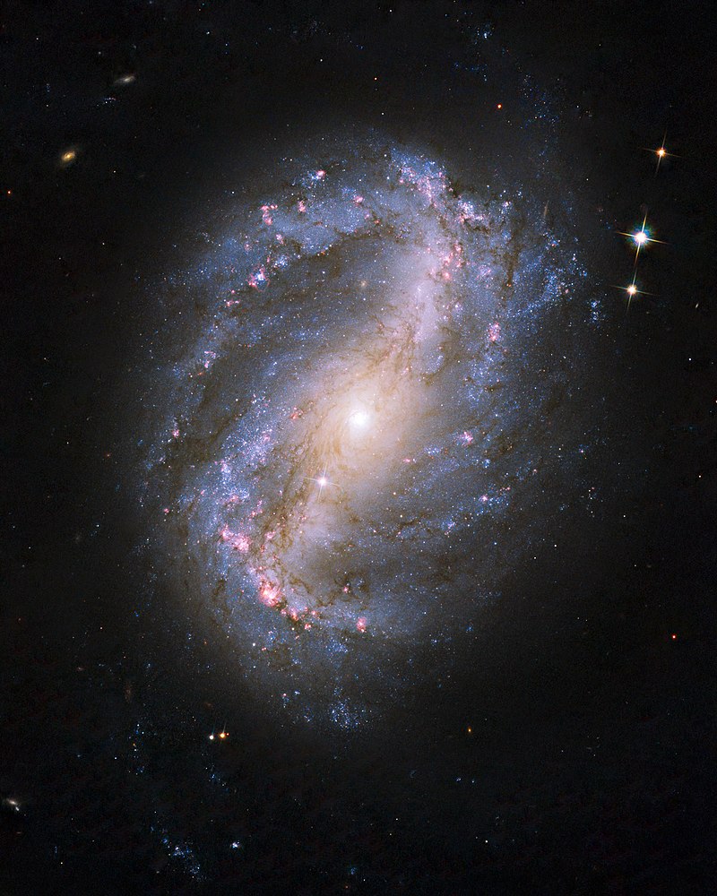 NGC 6217 || Barred Spiral Galaxy